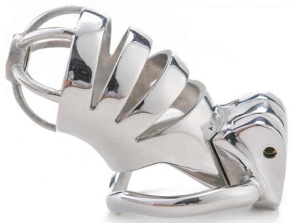 Cage de chasteté en métal Bird Up 8 x 3.3cm – Image 3