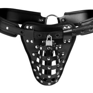 Cage de chasteté intégrale Simili