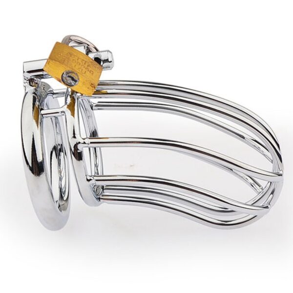 Cage de chasteté Lineale 9.5 x 3.5cm – Image 2