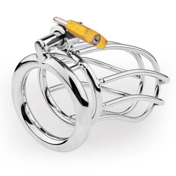 Cage de chasteté Lineale 9.5 x 3.5cm – Image 3