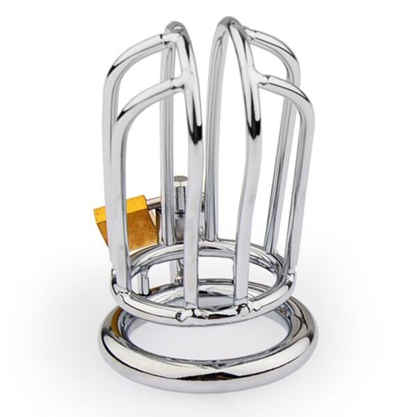 Cage de chasteté Lineale 9.5 x 3.5cm – Image 4