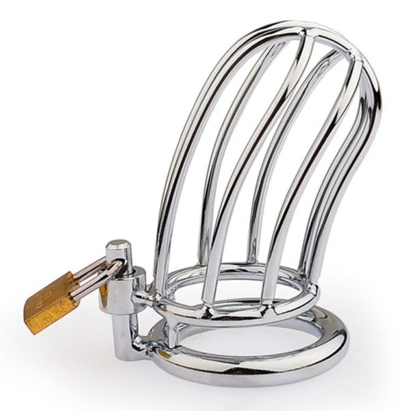 Cage de chasteté Lineale 9.5 x 3.5cm – Image 6