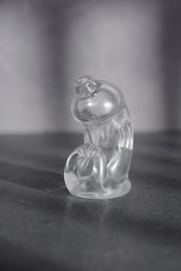 Cage de chasteté ManCage Modèle 29 - 9.5 x 3.2cm Transparente – Image 5