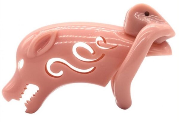 Cage de chasteté Pig Rough 10  x 3.5cm – Image 2