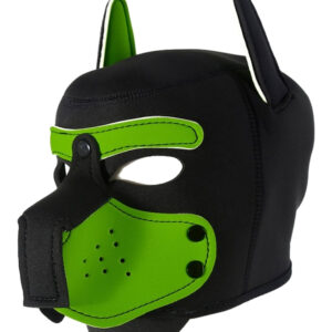 Cagoule Enjoy Puppy Noir-Vert