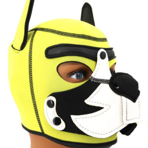 Cagoule Puppy Fox Néoprène Jaune-Blanc