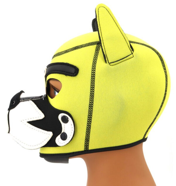 Cagoule Puppy Fox Néoprène Jaune-Blanc – Image 6