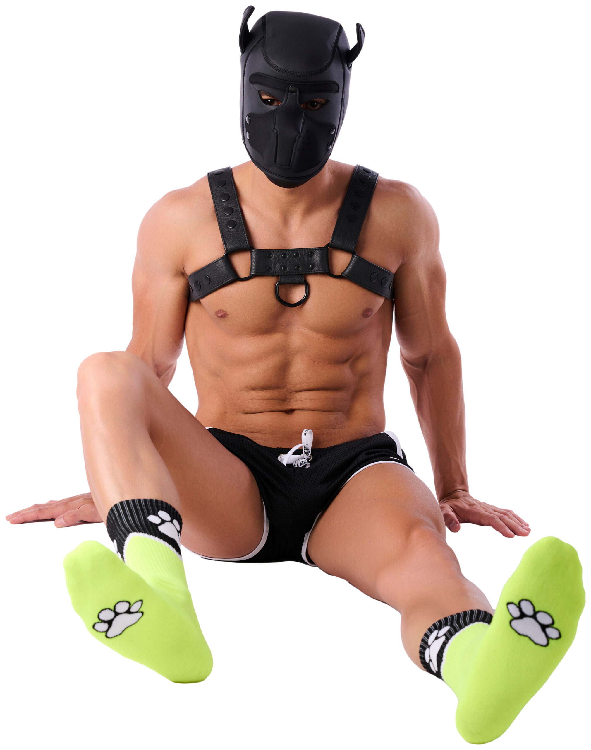 Chaussettes Paw Kinky Puppy Jaunes Fluo – Image 2