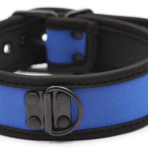 Collier en néoprène Bleu
