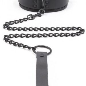 Collier Epais + Laisse