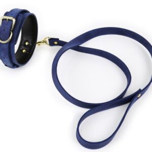 Collier et Laisse Lighty Bleu