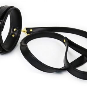 Collier et Laisse Lighty Noir