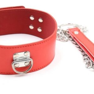 Collier et Laisse Pin Lock Rouge