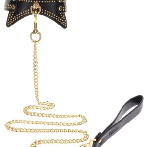 Collier et Laisse Studded Vogue Noir