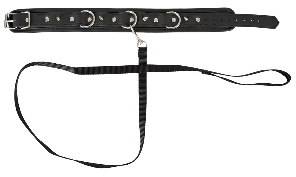 Collier et Laisse Vegan Fetish – Image 4
