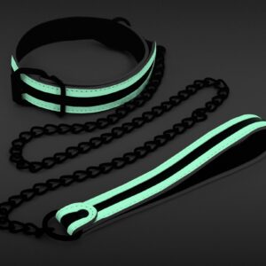 Collier-Laisse fluorescente Glo 75cm