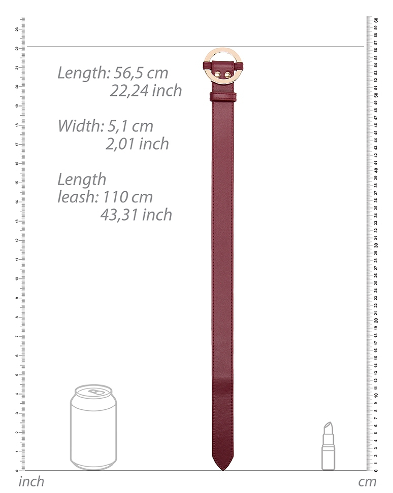 Collier-Laisse Halo Col Rouge – Image 4