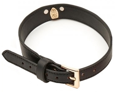 Collier-Laisse Master Me Noir – Image 3