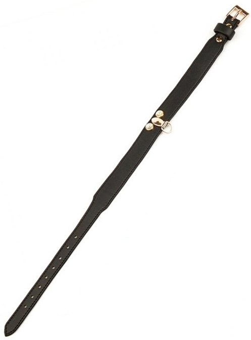 Collier-Laisse Master Me Noir – Image 4