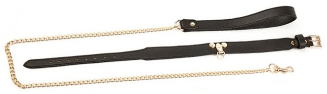 Collier-Laisse Master Me Noir – Image 5