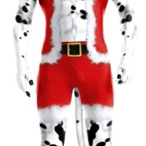 Combinaion Dalmatien de Noël