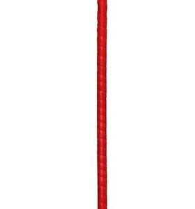 Cravache et Plumeau Ouch 43cm Rouge