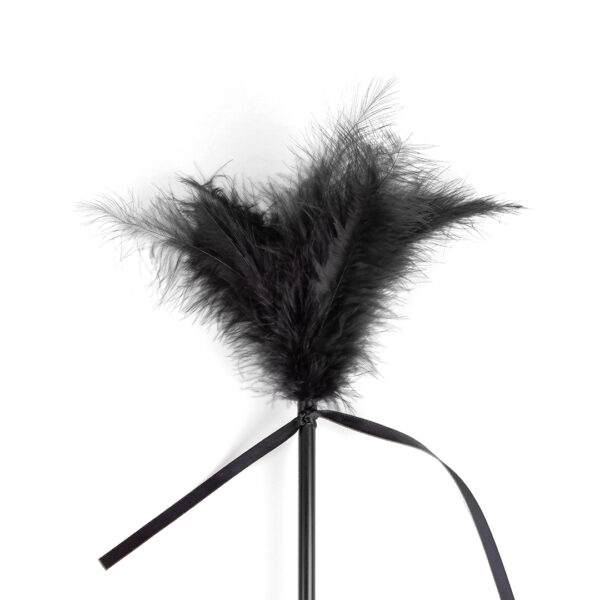 Cravache et Plumeau Secret Touch 50cm Noir – Image 3