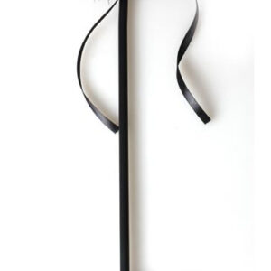 Cravache et Plumeau Secret Touch 50cm Noir