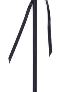 Cravache Secret Satin 38cm Noir