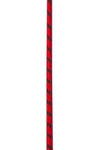 Cravache tringle - 68cm