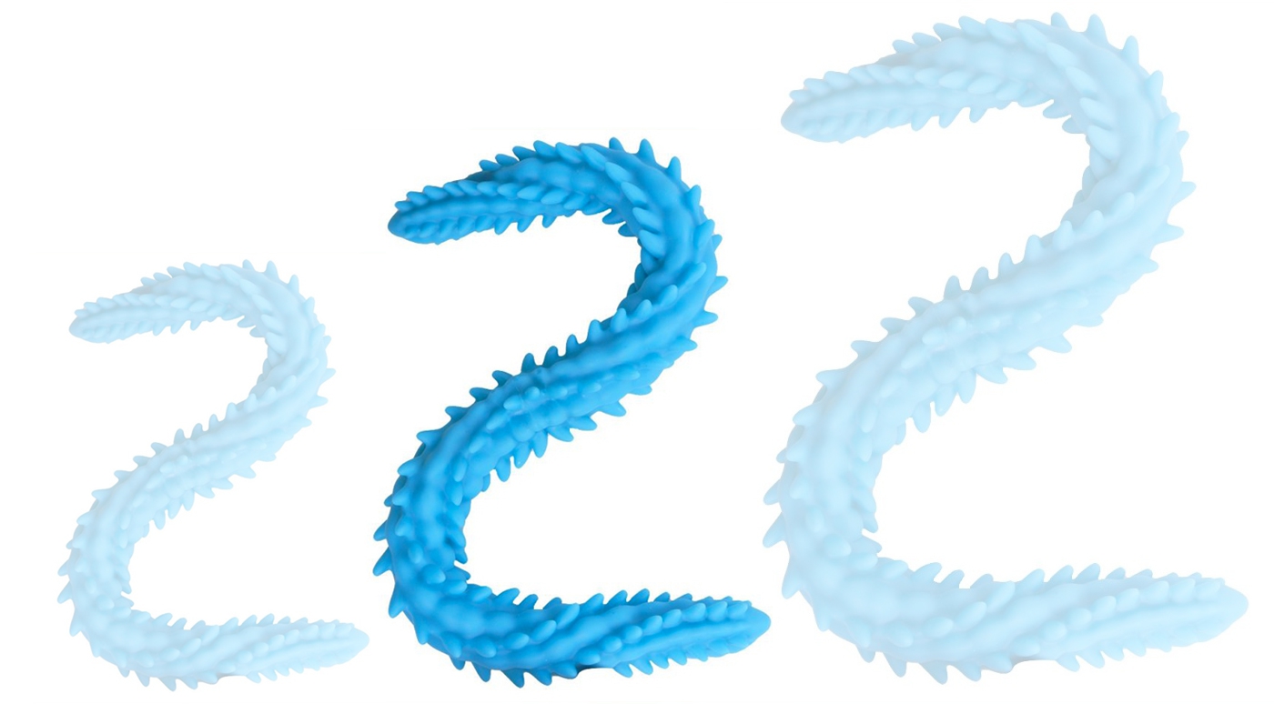 Double Gode Scolop M 50 x 4cm Bleu