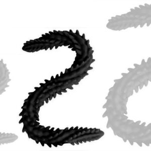 Double Gode Scolop M 50 x 4cm Noir