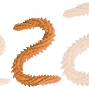 Double gode Scolop M 50 x 4cm Orange