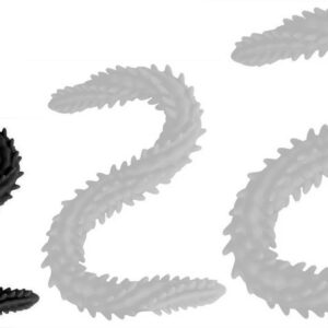 Double Gode Scolop S 40 x 3cm Noir