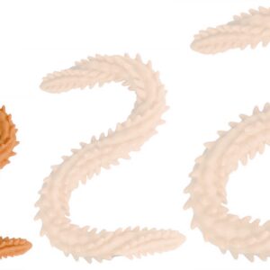 Double gode Scolop S 40 x 3cm Orange