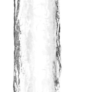 Gaine de pénis Mini Uncut 13 x 4 cm Transparente