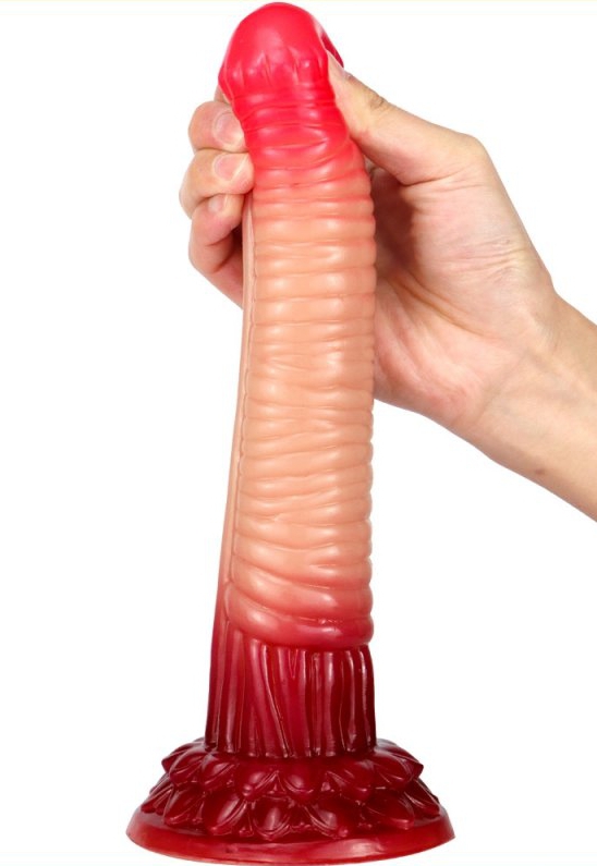 Gode dragon Trempix 22 x 5cm – Image 4