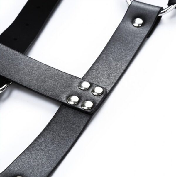 Harnais CHEST BELT Noir – Image 4