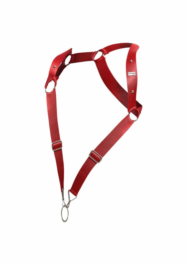 Harnais élastique et Cockring Straight Back Rouge – Image 7