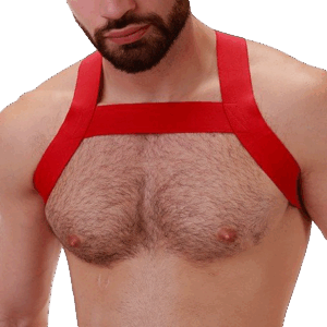 Harnais Élastique MATT Rouge