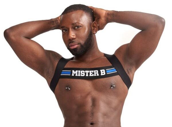 Harnais élastique X-Back Noir-Bleu – Image 3