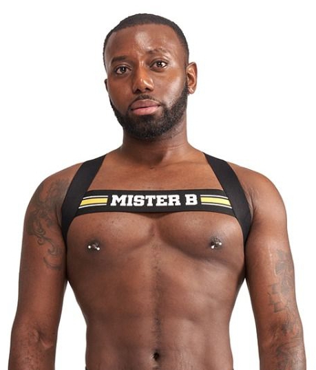 Harnais élastique X-Back Noir-Jaune – Image 6