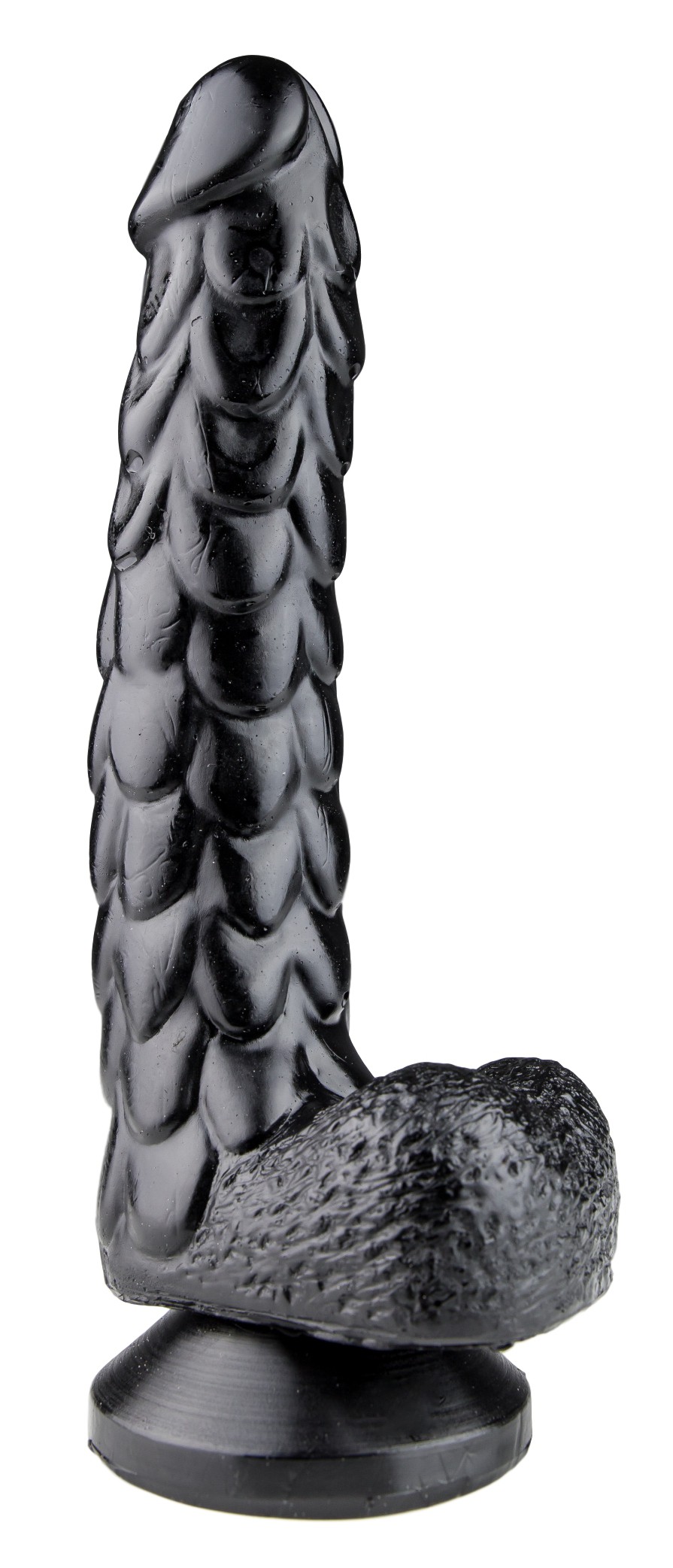 HYLEOS 18 x 4 cm – Image 3