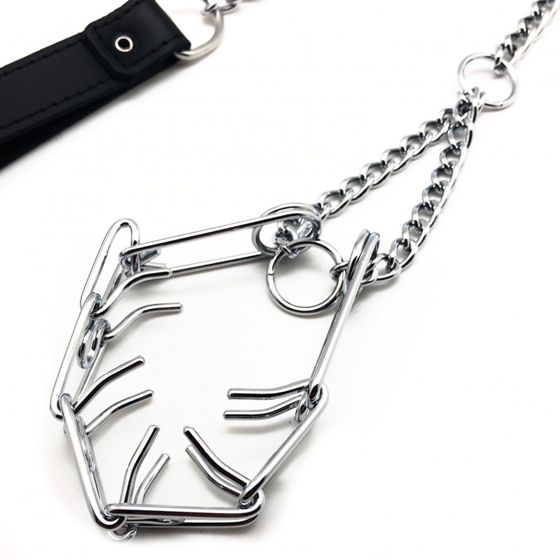 Laisse avec collier étrangleur pour pénis – Image 2
