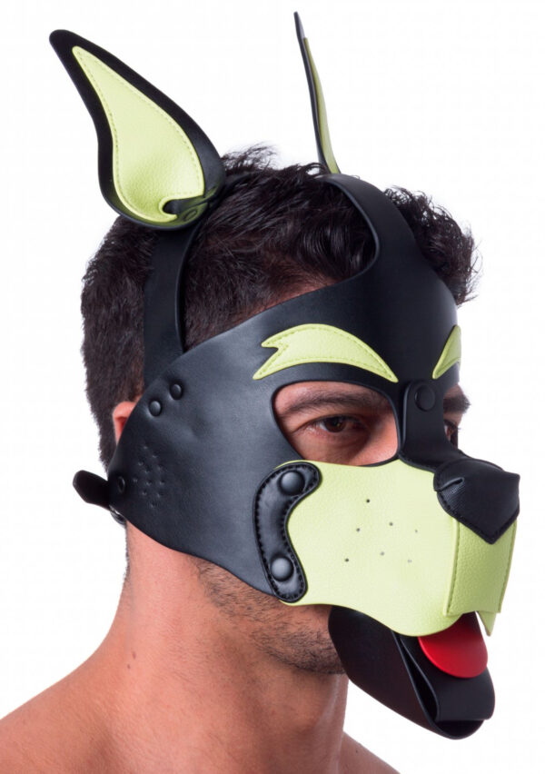 Masque Puppy 665 Jaune/Vert – Image 2