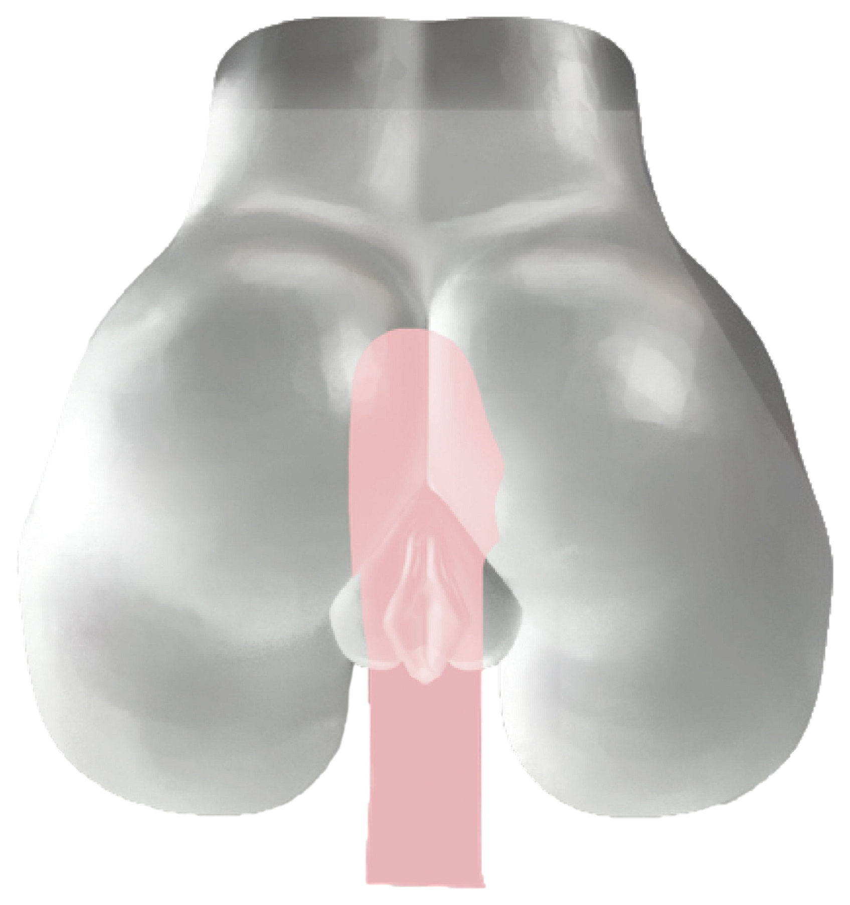 Masturbateur Fessier Fucking Pussy Transparent – Image 6