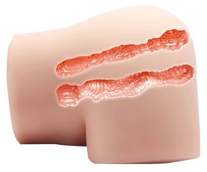 Masturbateur Fessier Vibrant Crazy Bull Simply Doggy – Image 4