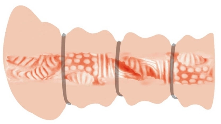 Masturbateur Pussy Crazy Bull Rossi 15cm – Image 4