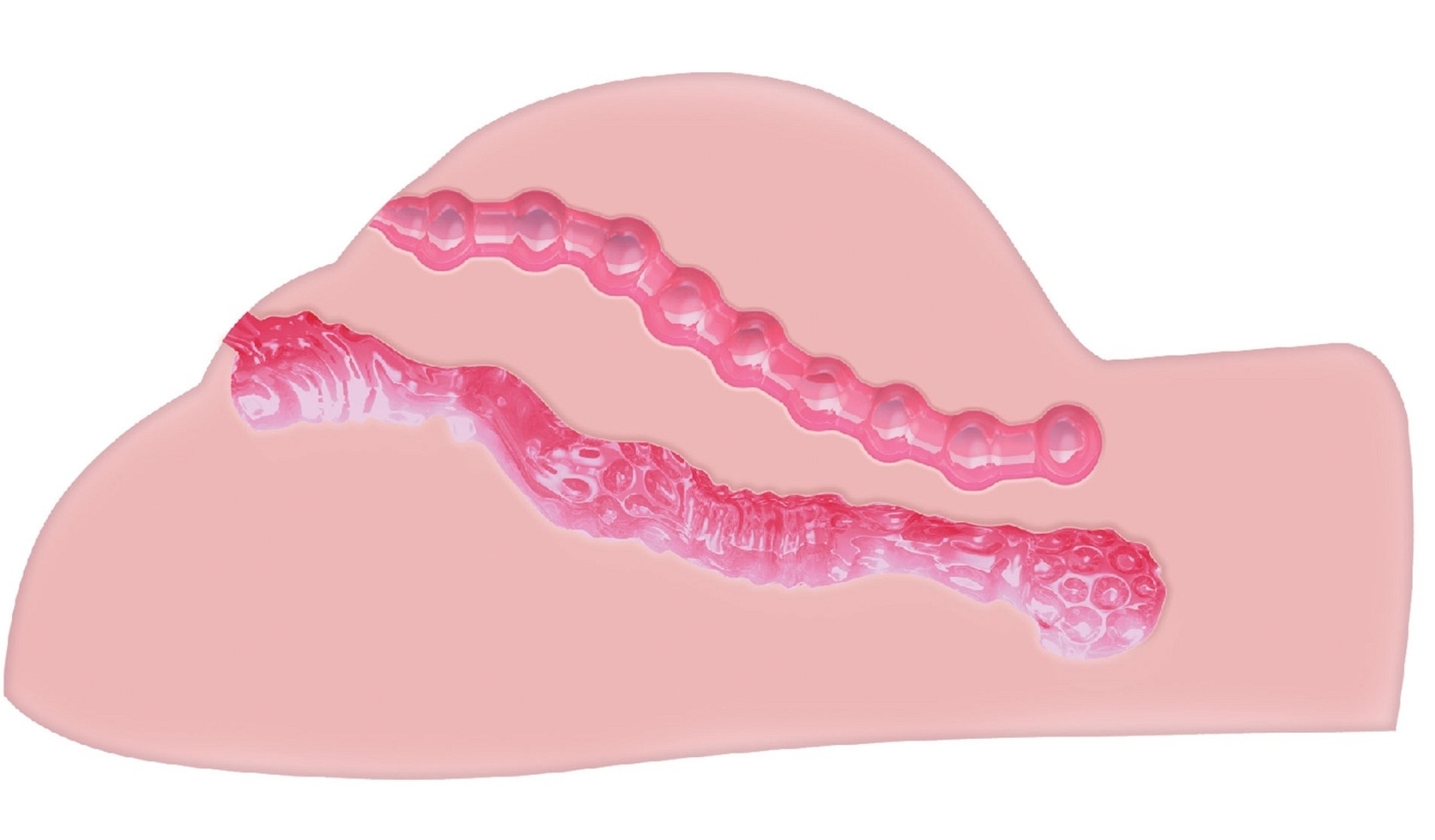 Masturbateur Réaliste Vibrant Wet Pussy 2 Entrées – Image 5