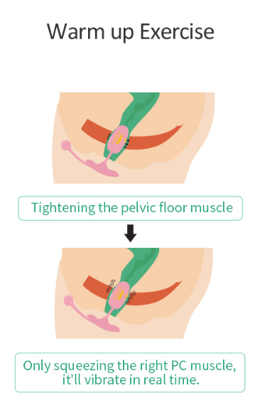 Oeuf vaginal connecté Kegel Coach 6 x 3cm – Image 11